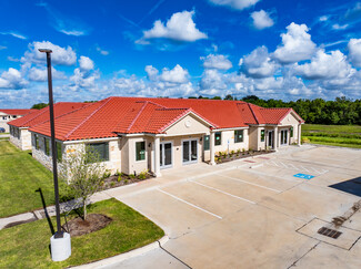 Más detalles para 2743 Smith Ranch Rd, Pearland, TX - Oficinas en venta