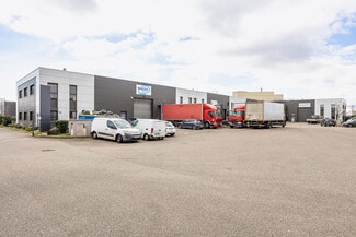 Más detalles de Flex en alquiler