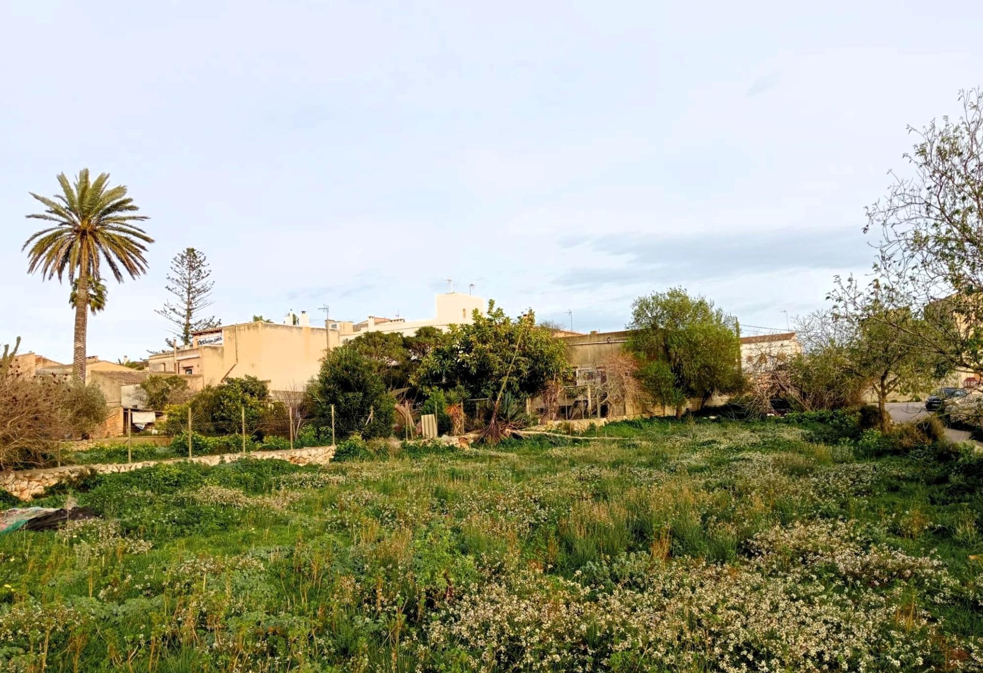 Terreno en Santanyí, Islas Baleares en venta Foto principal- Imagen 1 de 10