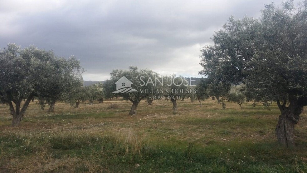 Terreno en Biar en venta - Foto del edificio - Imagen 3 de 9