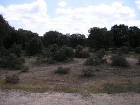 Más detalles de Terreno en venta