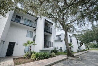 Más detalles de 13009 Kain Palms Ct, Tampa, FL - Edificio residencial en venta