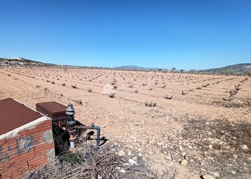 Terreno en PINOSO en venta - Foto del edificio - Imagen 1 de 3