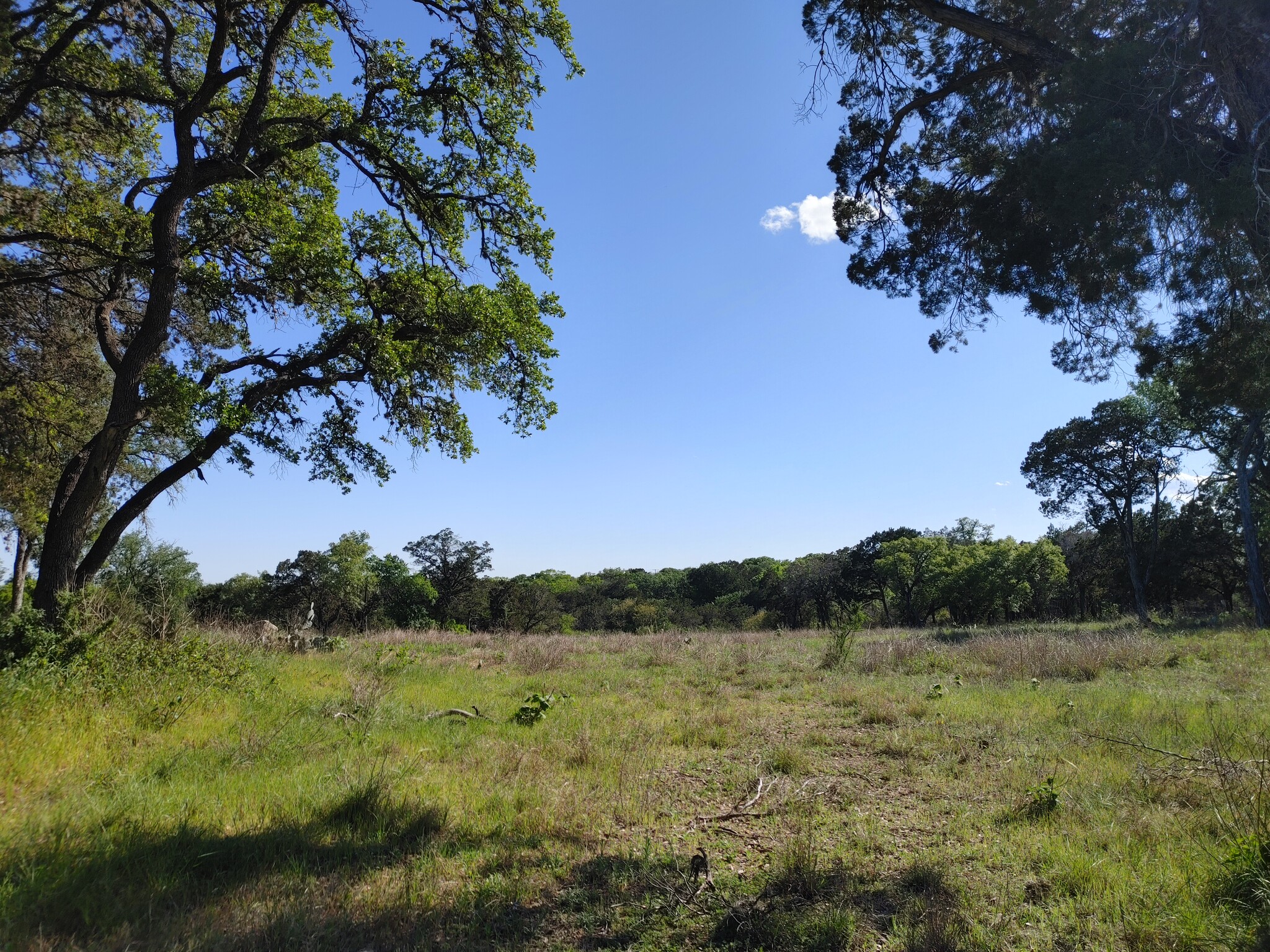 1421 N Walnut St, New Braunfels, TX en venta Otros- Imagen 1 de 11