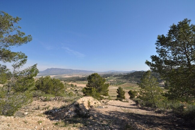 Más detalles de Sin Calle, Jumilla - Terreno en venta