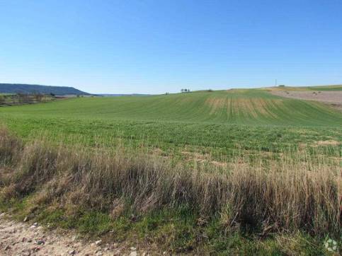 Calle Sector urbanizable, AR, Tórtola de Henares, Guadalajara en venta - Foto del edificio - Imagen 2 de 3