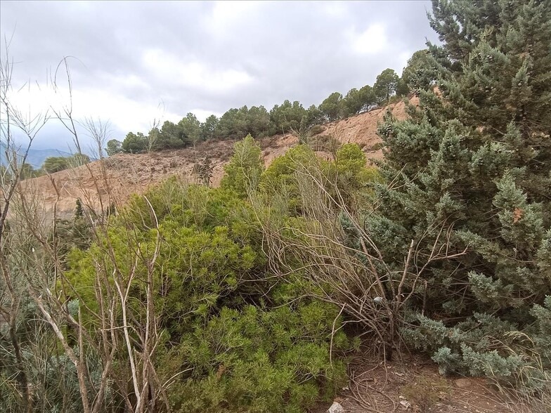 Parcela, 3, Carataunas, Granada en venta - Foto del edificio - Imagen 3 de 10