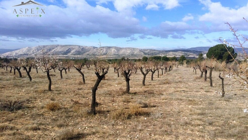 Terreno en Biar, Alicante en venta - Vista aérea - Imagen 2 de 6