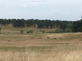 Más detalles para 0 0 Cox Lane (733 Acres) Ln, Oroville, CA - Terrenos en venta