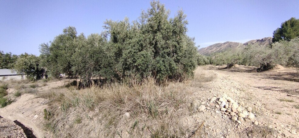 Terreno en Calasparra, Murcia en venta - Plano del sitio - Imagen 1 de 4