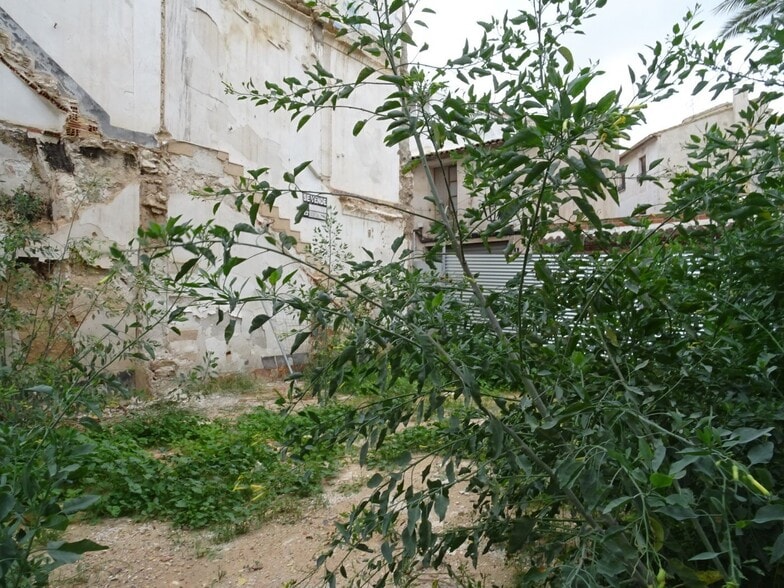 Terreno en Aspe, Alicante en venta - Foto principal - Imagen 2 de 4