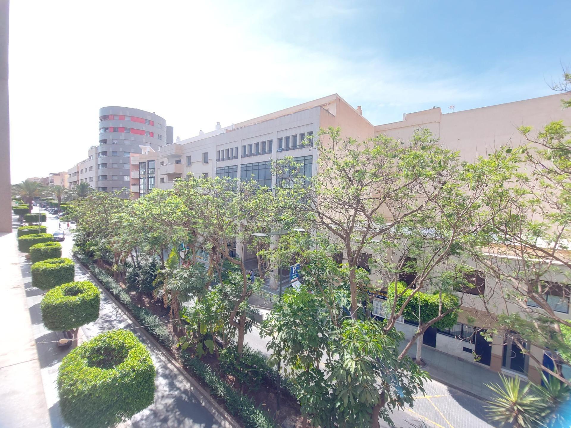 Local en El Ejido, Almería en alquiler Foto del edificio- Imagen 1 de 39