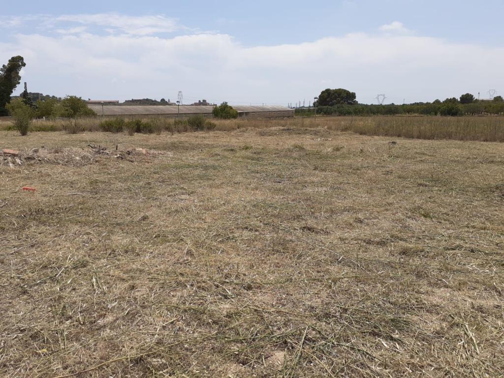 Terreno en La Secuita, Tarragona en venta Foto principal- Imagen 1 de 5