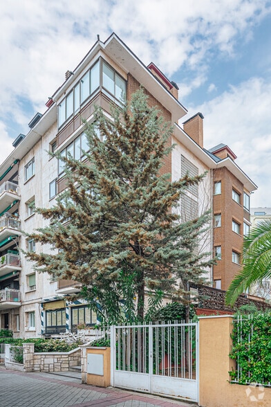 Avenida de Concha Espina, 55, Madrid, Madrid en venta - Foto del edificio - Imagen 1 de 1
