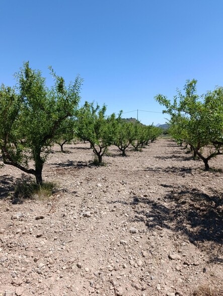 Terreno en Cehegín, Murcia en venta - Vista aérea - Imagen 2 de 5