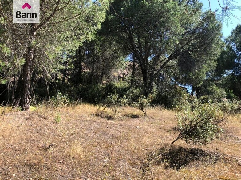 Terreno en Córdoba, Córdoba en venta - Foto principal - Imagen 2 de 3