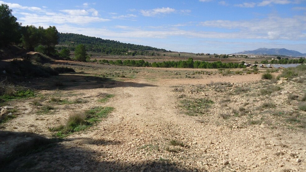 Terreno en MONÒVER, Alicante en venta - Foto principal - Imagen 3 de 9