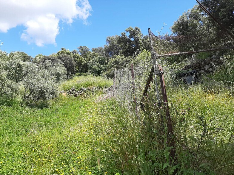 Terreno en Santa Ana en venta - Foto del edificio - Imagen 2 de 23