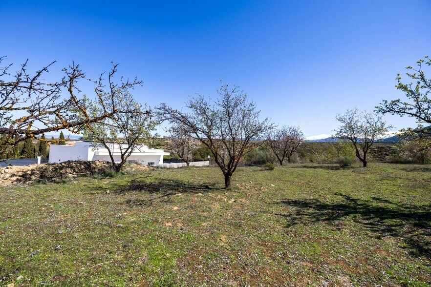 Calle Nevada, 4, Dílar, Granada en venta - Foto del edificio - Imagen 3 de 21