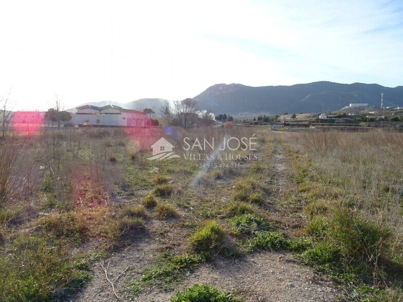 Terreno en Aspe en venta - Foto del edificio - Imagen 3 de 6