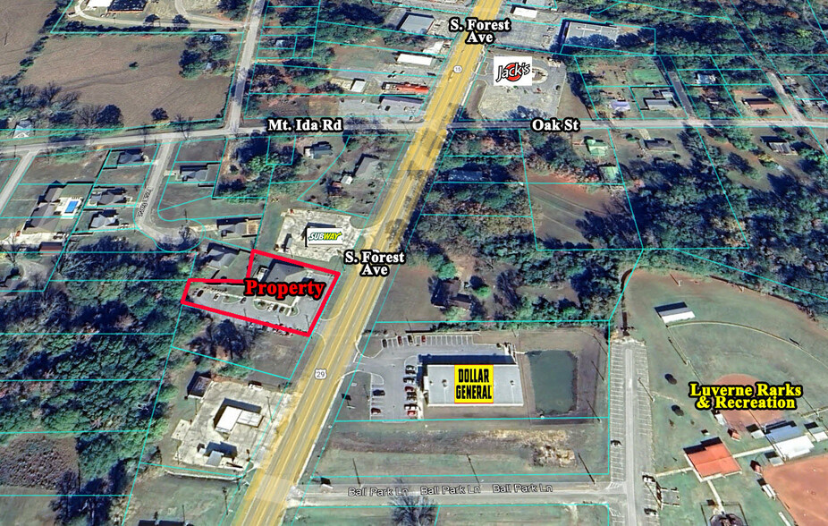 1014 S Forest Ave, Luverne, AL en venta - Foto del edificio - Imagen 2 de 8