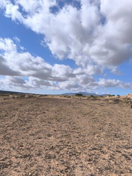 Sin Calle, PINOSO, Alicante en venta - Plano del sitio - Imagen 3 de 10