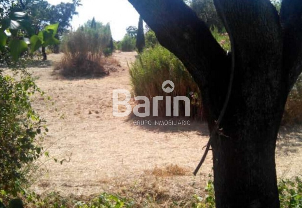 Terreno en Córdoba, Córdoba en venta Foto principal- Imagen 1 de 6