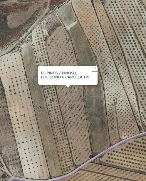 Más detalles de Úbeda, PINOSO - Terreno en venta