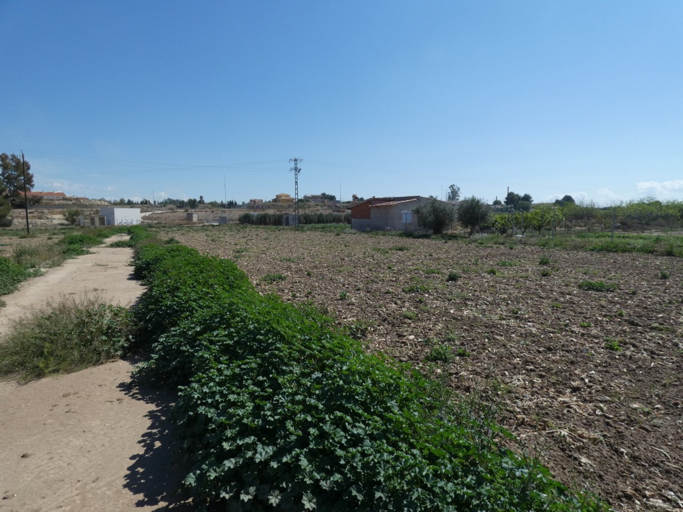 Terreno en Murcia, Murcia en venta Plano del sitio- Imagen 1 de 7