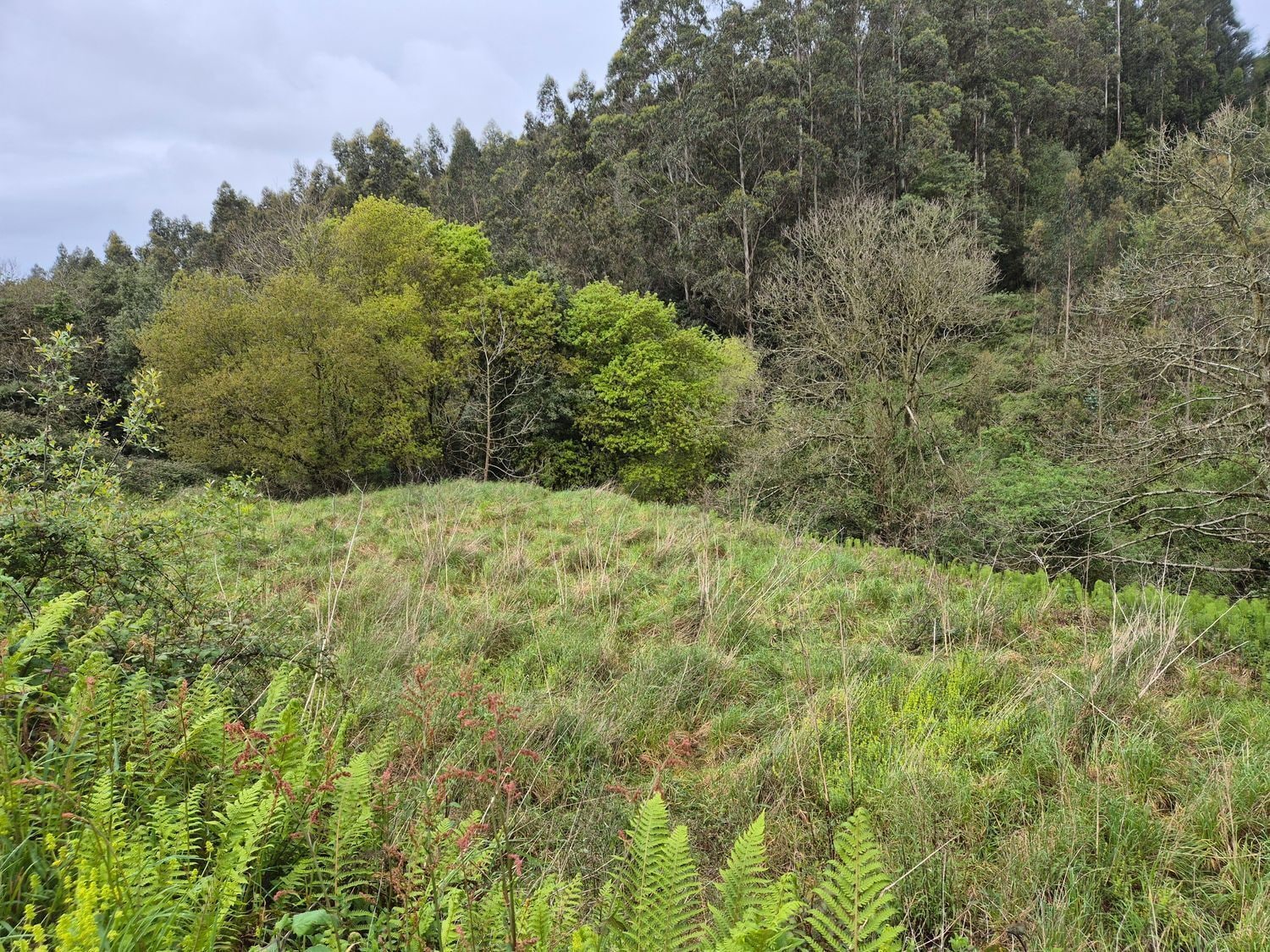 Barrio Cuto, 6, Carreño, Asturias en venta Plano del sitio- Imagen 1 de 8