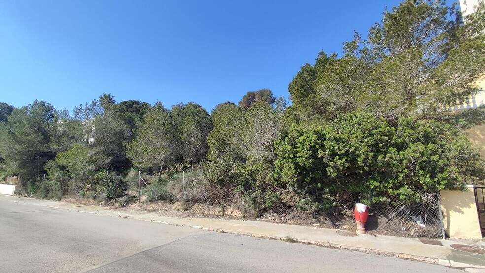 Terreno en Orihuela en venta - Foto del edificio - Imagen 3 de 4