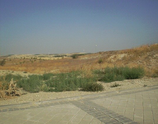 Más detalles de Terreno en venta