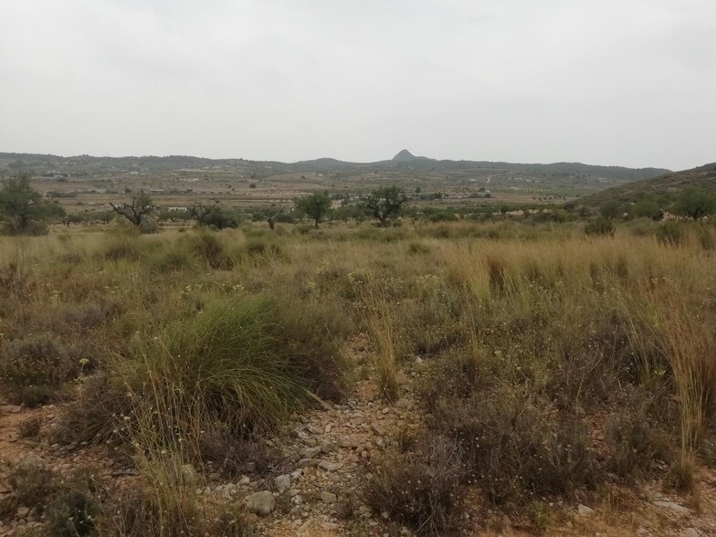 Terreno en Hondón de los Frailes, Alicante en venta - Vista aérea - Imagen 2 de 5