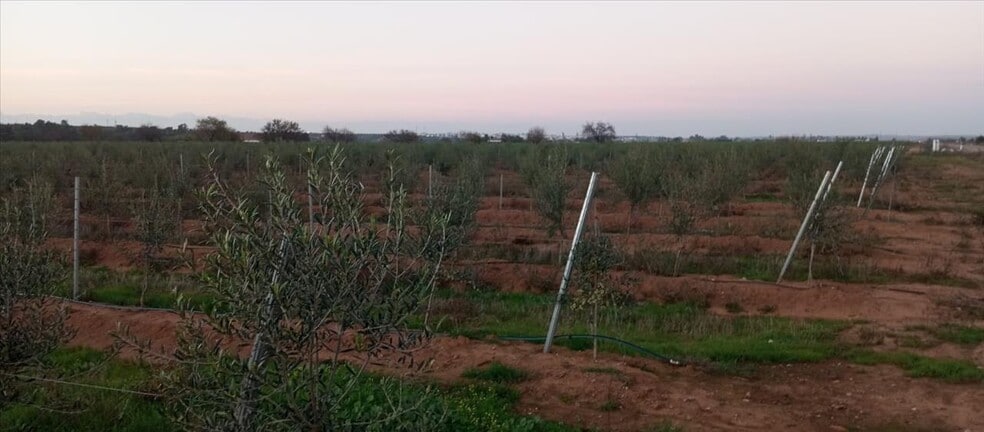 Terreno en Villalba de los Barros en venta - Foto del edificio - Imagen 2 de 10