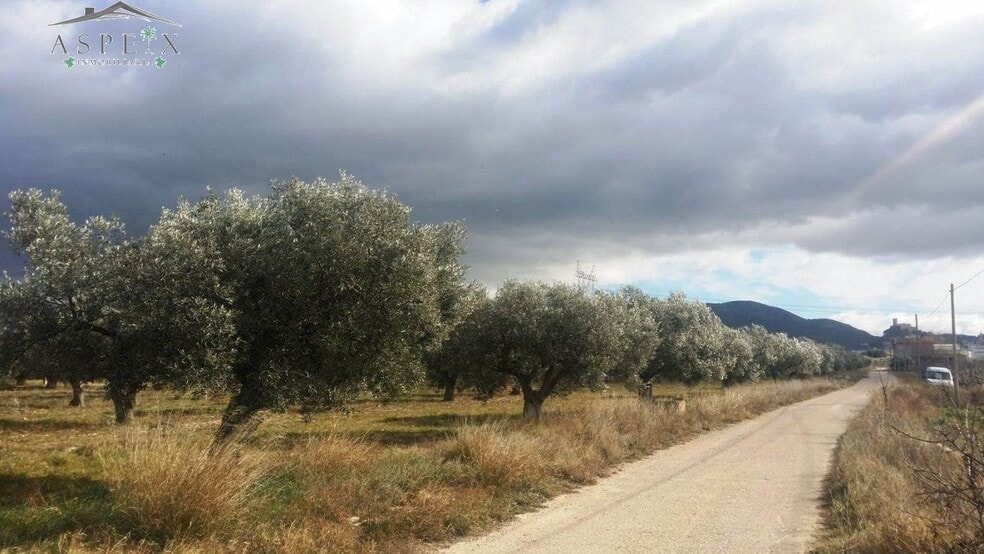 Terreno en Biar, Alicante en venta - Vista aérea - Imagen 2 de 7