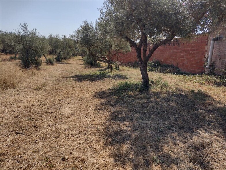 Terreno en Pilas en venta - Foto del edificio - Imagen 2 de 17