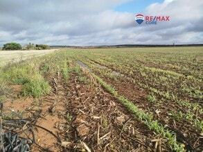 Mérida, BAD - AÉREA  vista de mapa - Image1