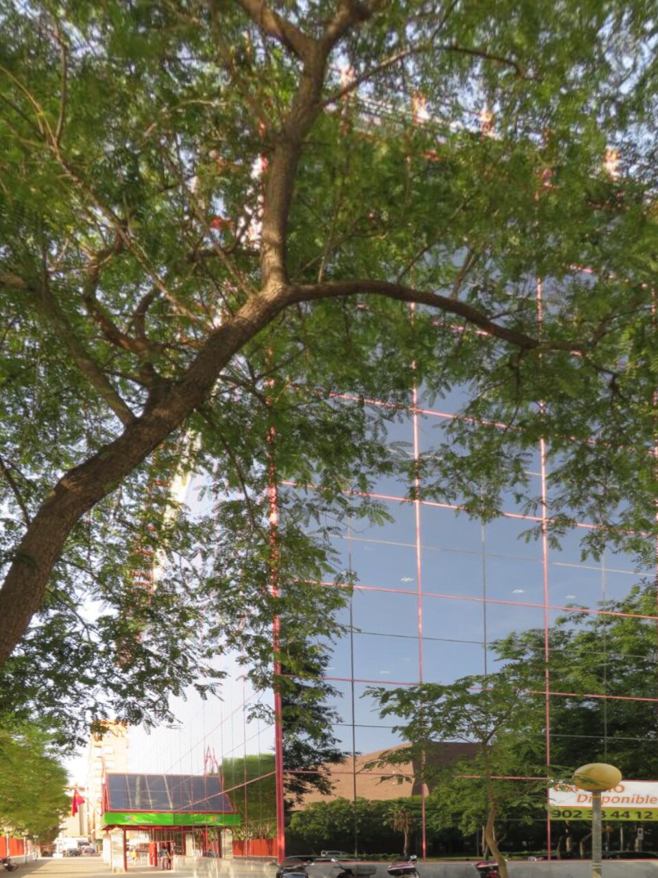 Calle de Ortega y Gasset, 9, Murcia, Murcia en alquiler Foto principal- Imagen 1 de 3