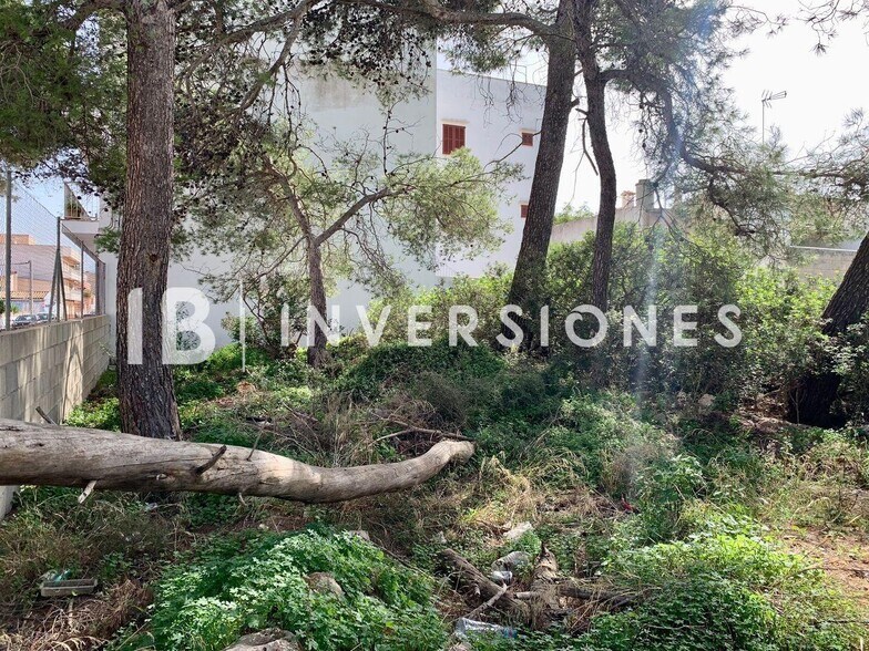 Terreno en Manacor, Islas Baleares en venta - Otros - Imagen 3 de 4