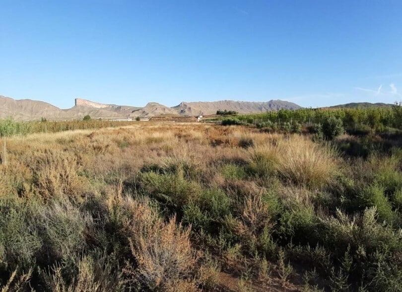 Jimena la, 113, Jumilla, Murcia en venta - Vista aérea - Imagen 3 de 4