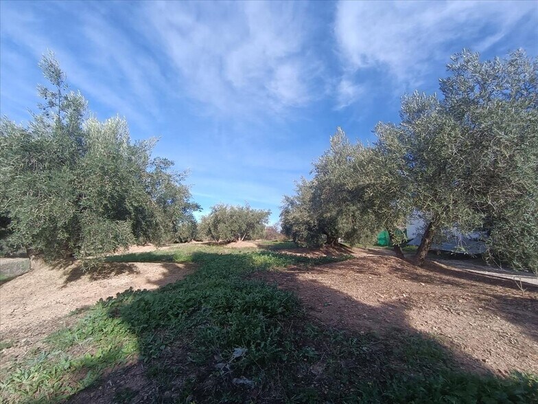Terreno en Fuensanta de Martos en venta - Foto del edificio - Imagen 2 de 3