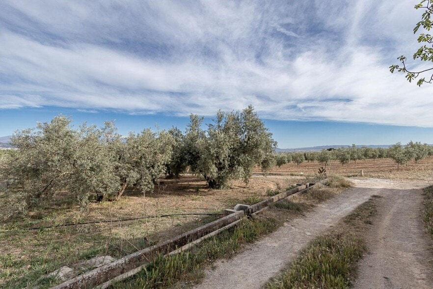 Pago de, Albolote, Granada en venta - Foto del edificio - Imagen 3 de 14