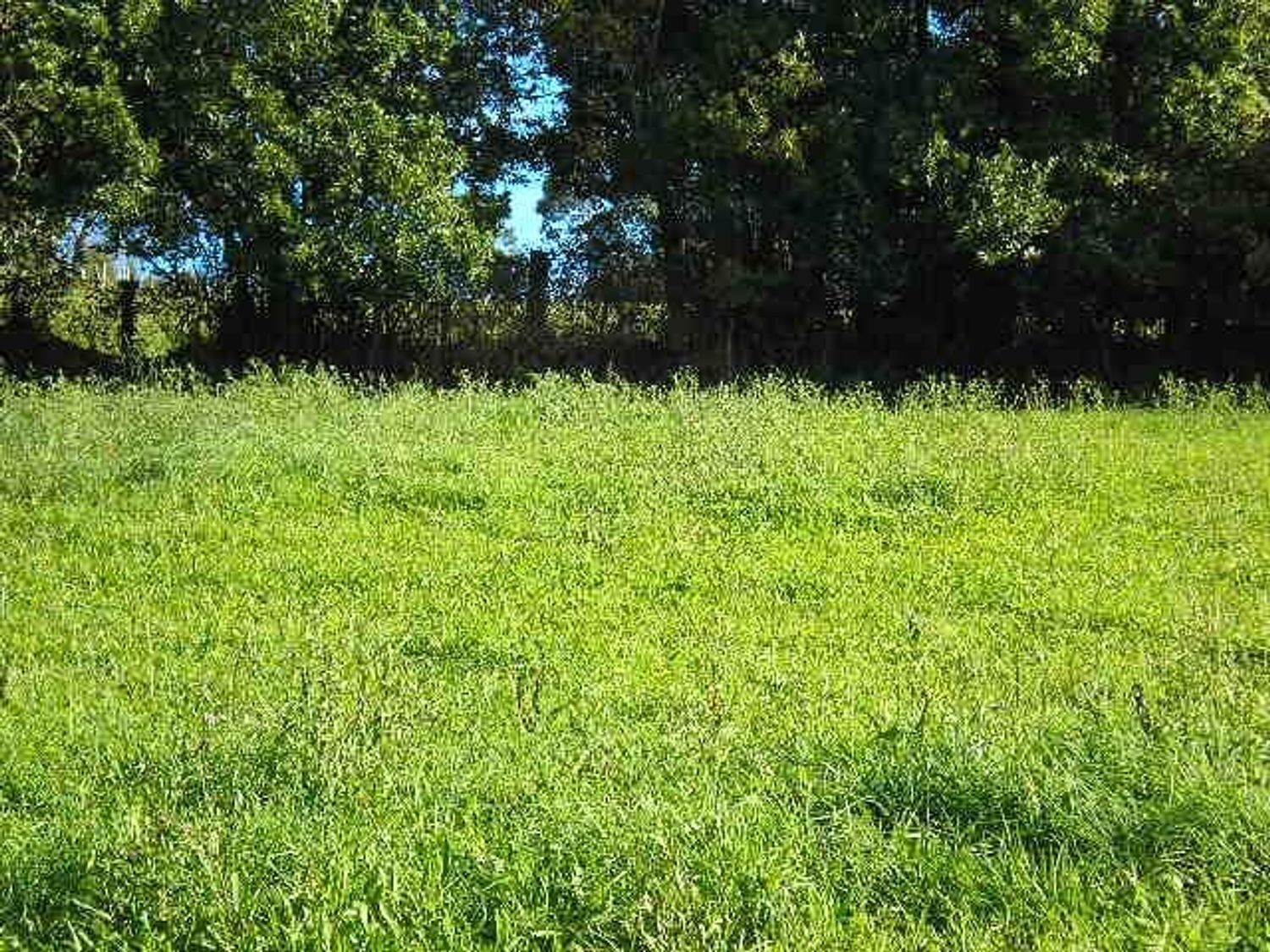 San Cristóbal, Cudillero, Asturias en venta Foto principal- Imagen 1 de 33