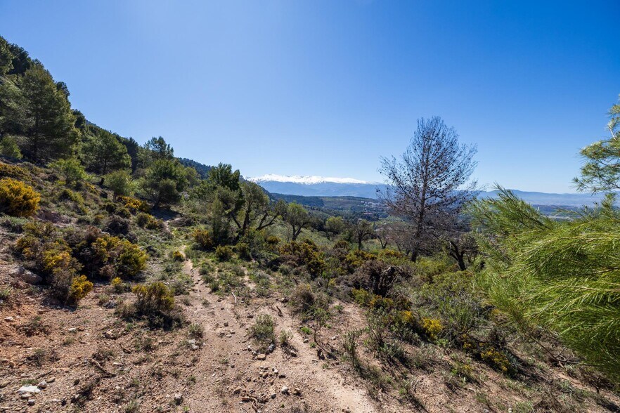 Camino de los Homillos, Alfacar, Granada en venta - Foto principal - Imagen 1 de 32