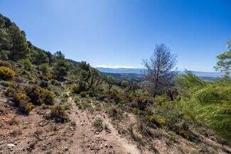 Más detalles de Camino de los Homillos, Alfacar - Terreno en venta