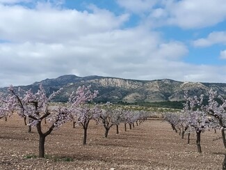 Más detalles de Terreno en venta