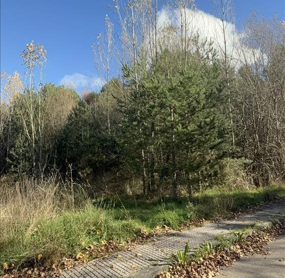 Más detalles de de, Boñar - Terreno en venta