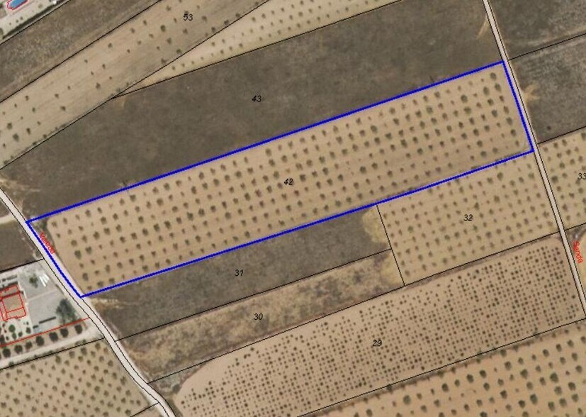 Terreno en Yecla en venta - Foto del edificio - Imagen 3 de 3