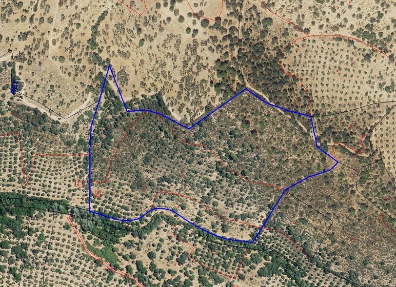 Parcela, 7, Villanueva del Rey, Córdoba en venta - Plano de la planta - Imagen 2 de 11