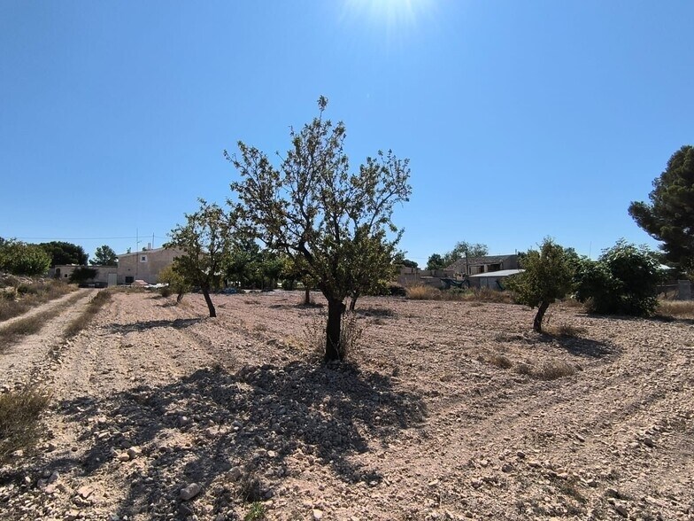 Terreno en MONÒVER, Alicante en venta - Foto principal - Imagen 2 de 8